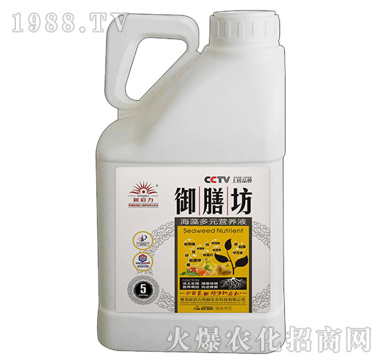 5kg�����Ԫ�I�B(y��ng)Һ-���ŷ�-����