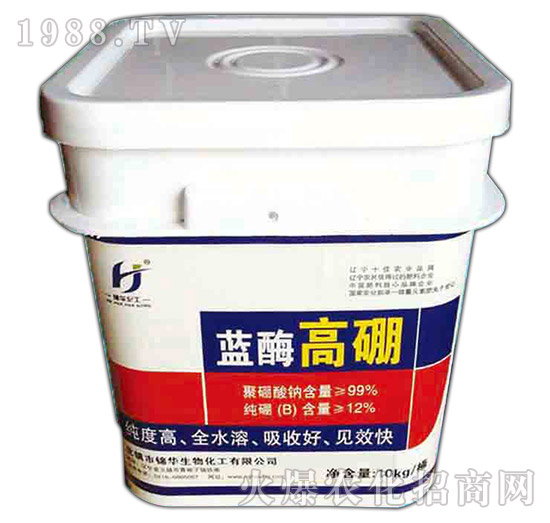 �{ø����-һ����