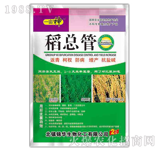 ������-һ����