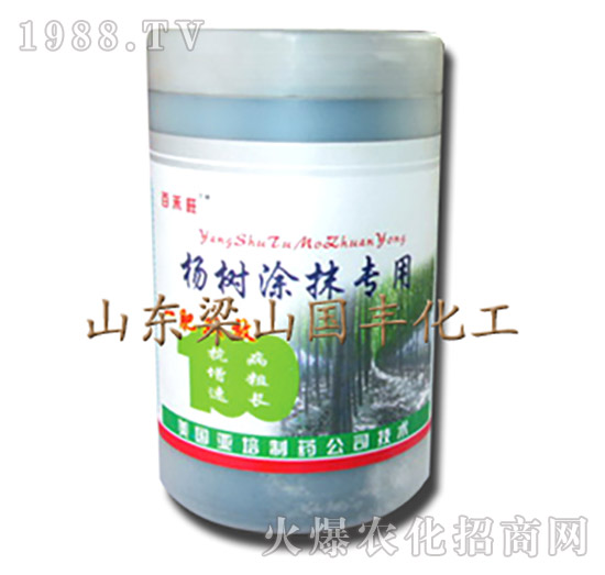 ���ͿĨ���÷�-��ɽ���S