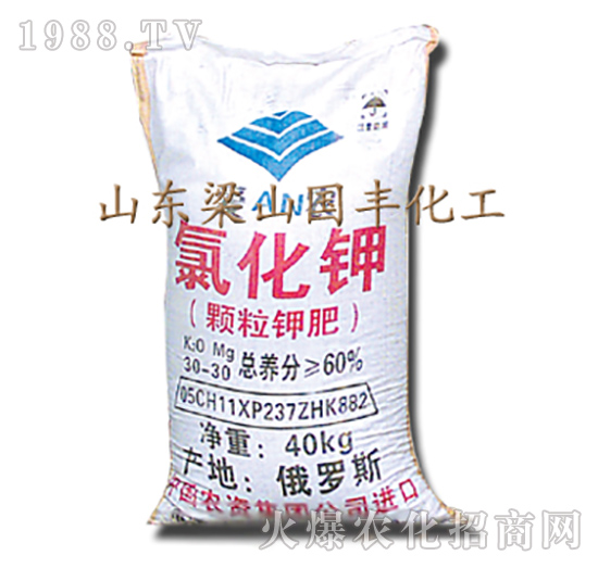 �Ȼ��-��ɽ��(gu��)�S