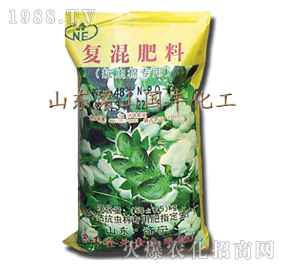 ���x�ތ��Ïͻ����-��ɽ���S