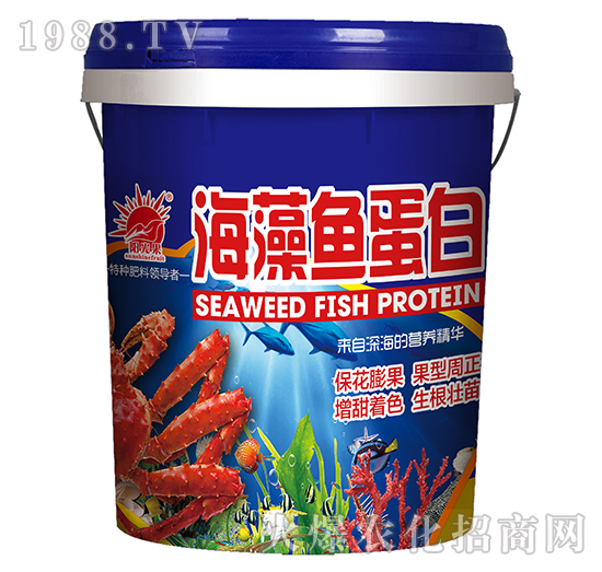 �����~���ף��{(l��n)��-�P�L��