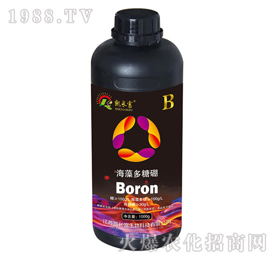 ��������𣨺ڣ�-�P�L��