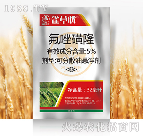 5%�����¡-ȸ�ݑn-�к����_(d��)