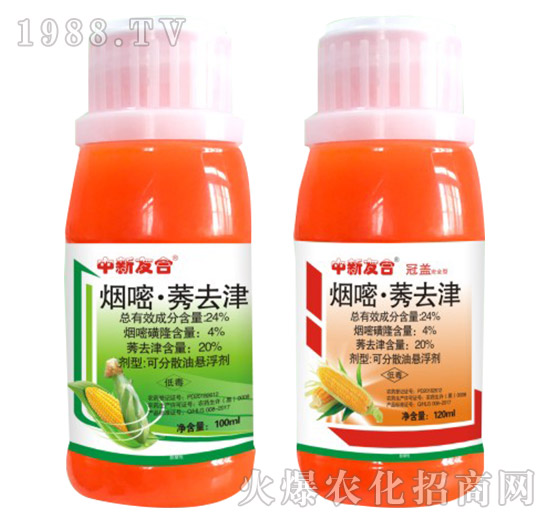 24%���ס�ݬȥ��-���w-�����Ѻ�