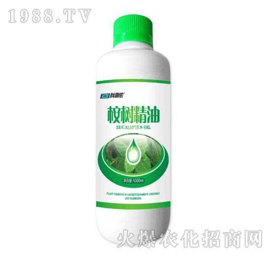 ��侫��-�����r