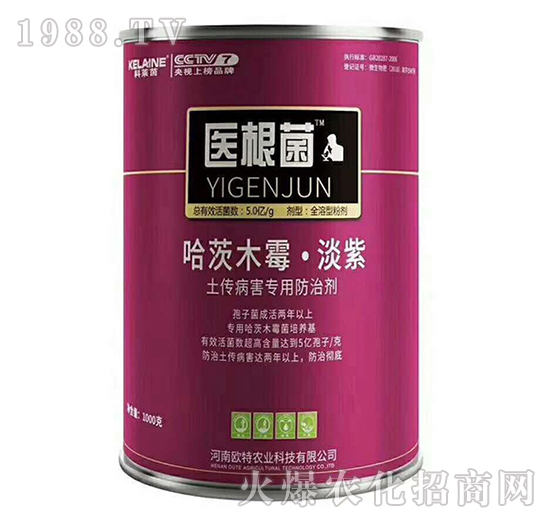 ����������(zhu��n)�÷��΄�-�t(y��)����-�W���r(n��ng)�I(y��)