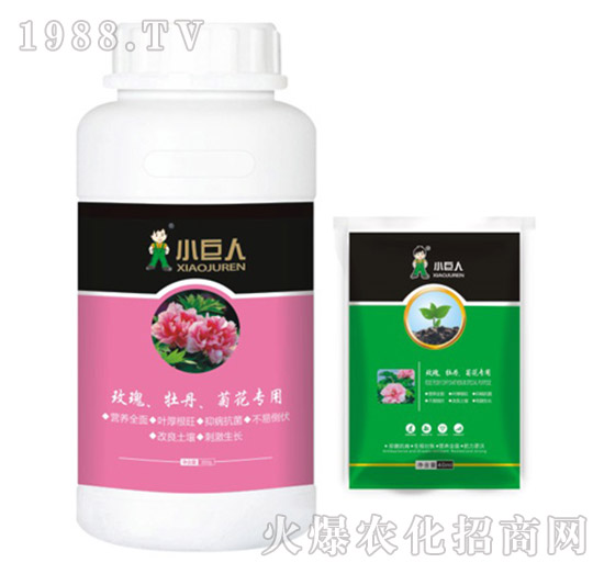 õ����ĵ�����ջ������{(di��o)��(ji��)��-С����