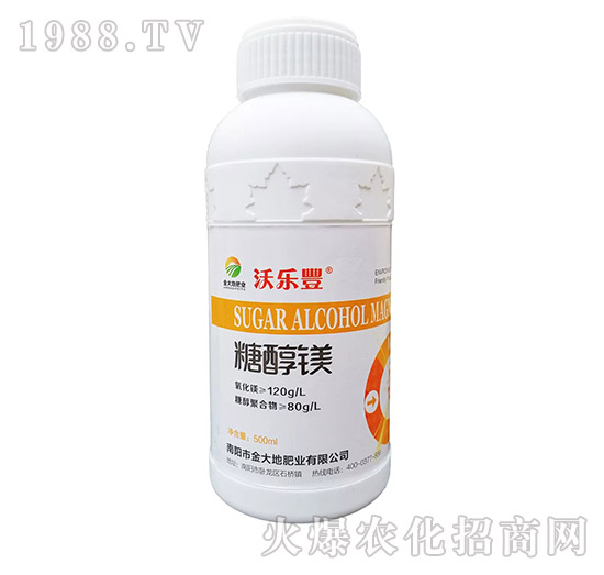 �Ǵ��V-����