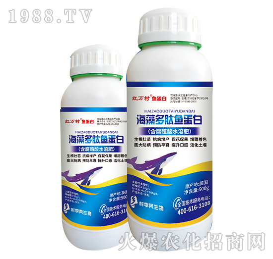 ��������~(y��)����-���˹����r(n��ng)��