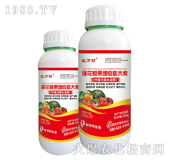 �����n�����������-���˹����r(n��ng)��