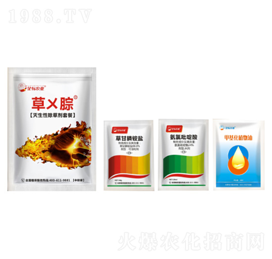 �����Գ��݄��ײ�-�݁W��-���