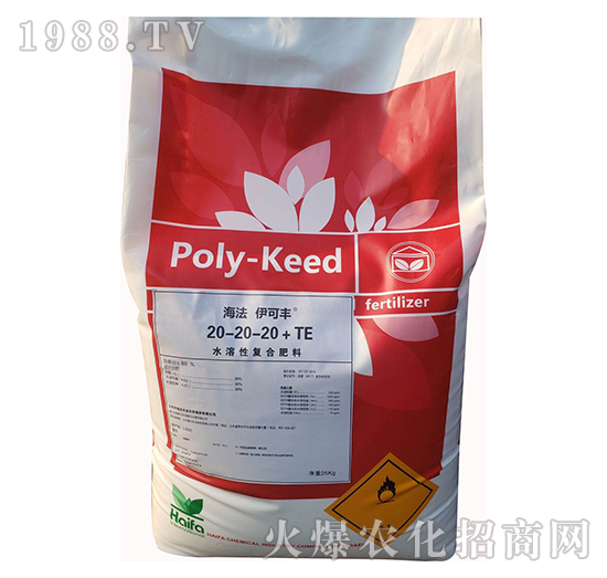 ˮ���ԏͺϷ���20-20-20+TE-���������S-����