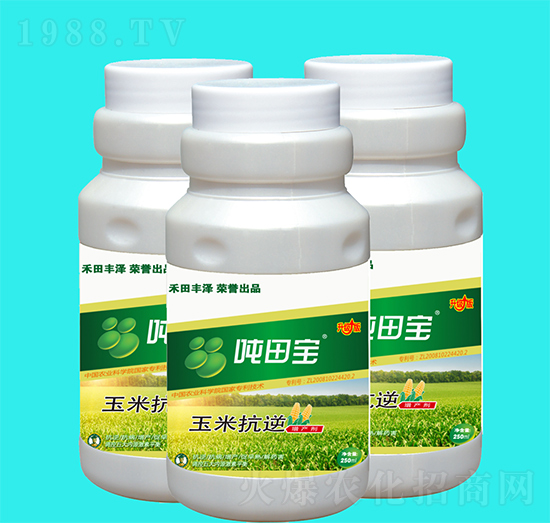 ���׿������a��-���-�����S��