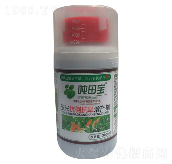 ���׿����������a��-���-�����S��