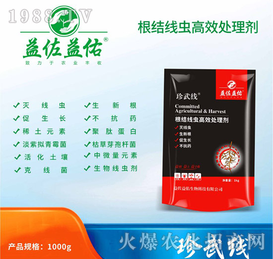 ���Y���x��Ч̎�턩-��������