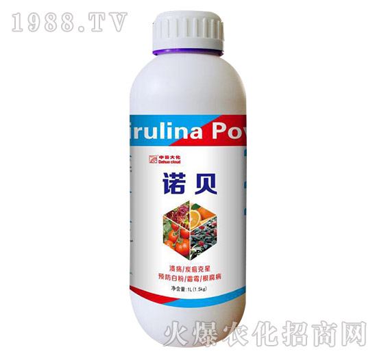 �Zؐ-���ƴ�