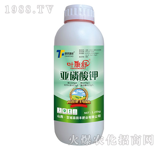 �������-�~����-���S����