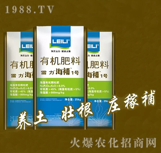 �ЙC(j��)����-����1̖(h��o)-����