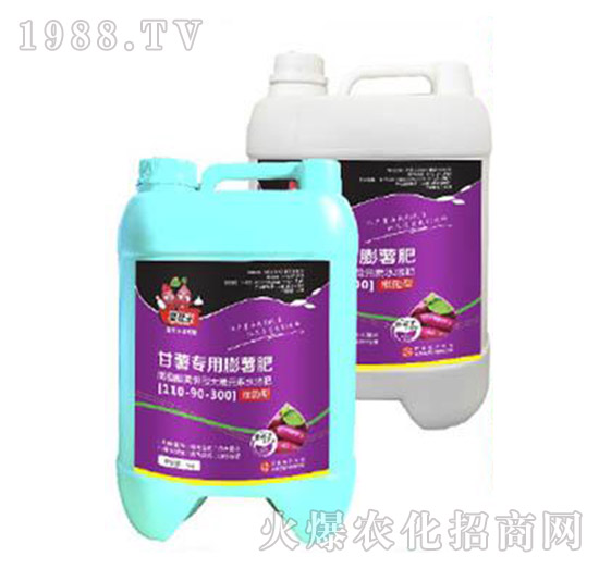 ���팣�������ʣ�500g��-�����-���A����(l��)