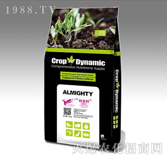 �����������-���w�r�I(y��)