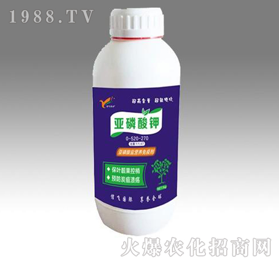 �������-���w�r�I(y��)