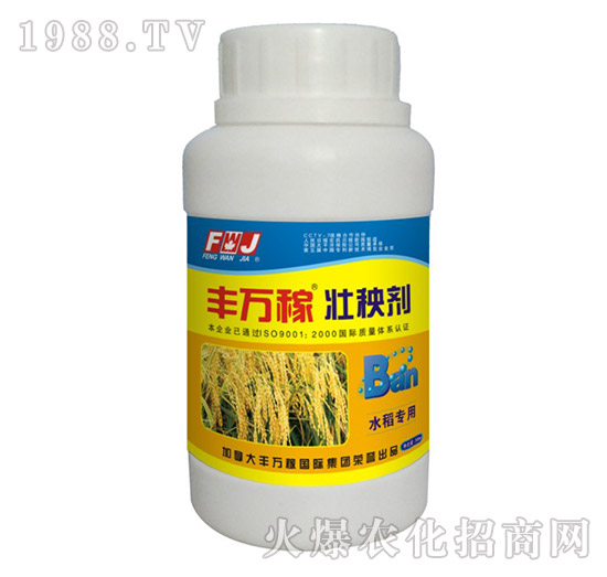 ˮ�����É��턩-�S�f��