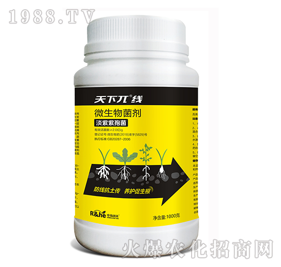 ΢�������-����أ��-�к�����