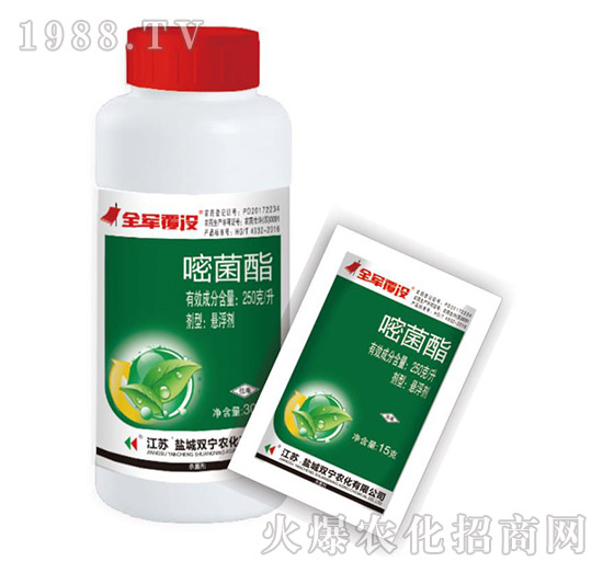 250��ÿ���׾���-ȫ܊���]-�p���r��