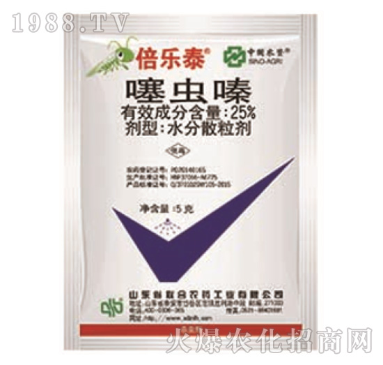 25%���x�-����̩-���r��