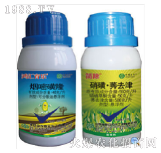 40��ÿ�����׻�¡+550��ÿ�����ǡ��Pȥ��-��(ji��n)��-���r(n��ng)(li��n)��