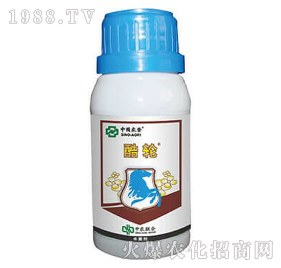 25%���r��-��݆-���r(n��ng)(li��n)��