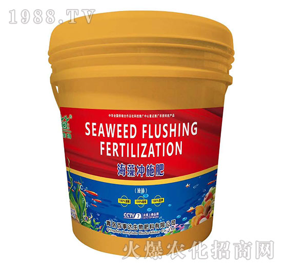 ����_ʩ��-�����_(d��)