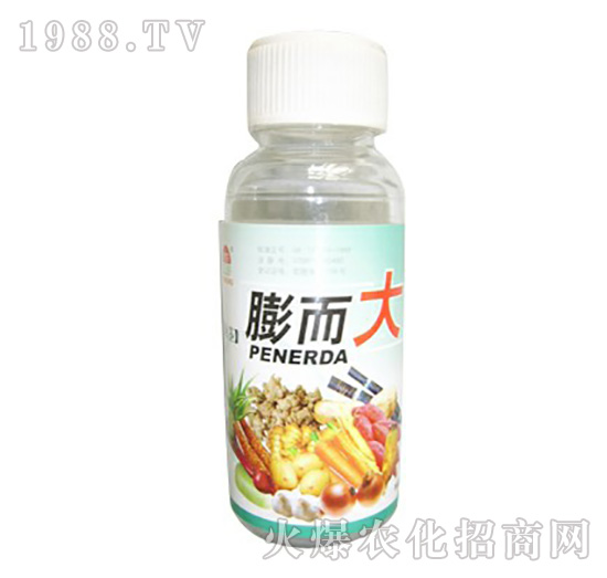 ֲ���{(di��o)��(ji��)��-�����-ʥ�i