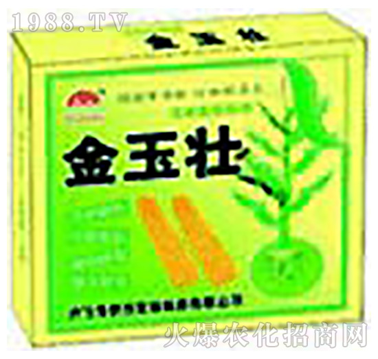 �����-ʥ�i