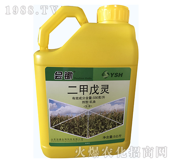 �������`-��(hu��)�z��5���-�\(y��n)ʢ����