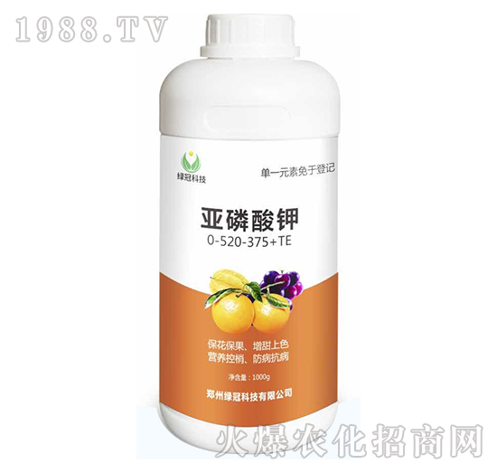 �������0-520-375+TE-�G��