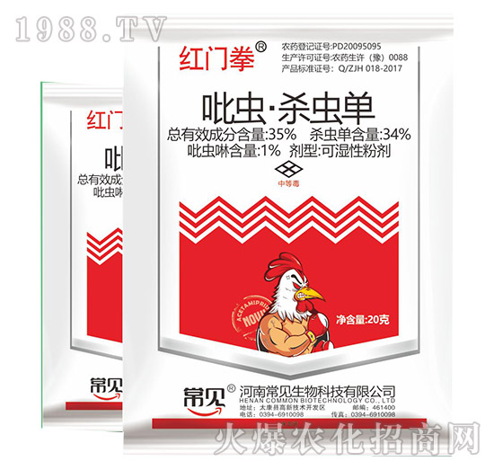 ���x�����x��-�tȭ�T-��Ҋ����