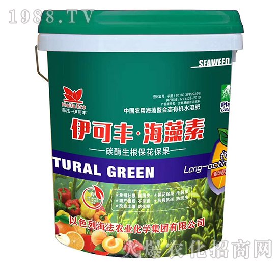 ̼ø������������-�����S��������-����