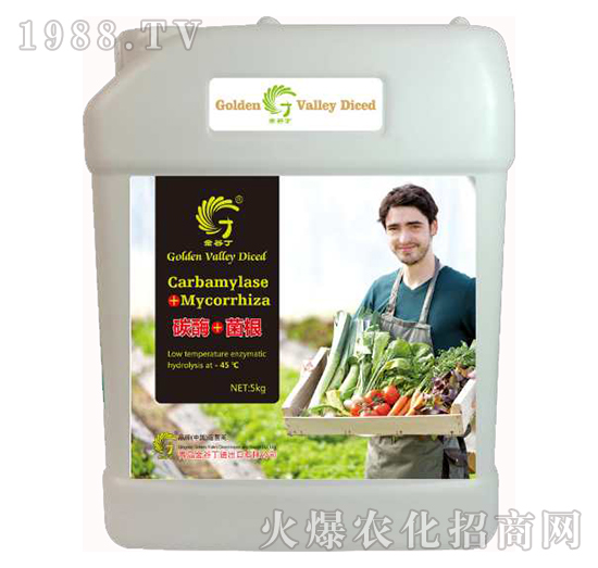 ̼ø+����΢�������-�����R