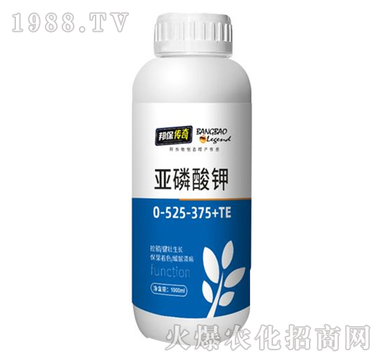 �������0-525-375+TE-�����-��ʘI(y��)