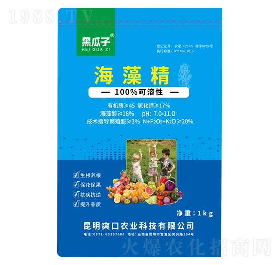 ���徫-�ڹ���-�µ����