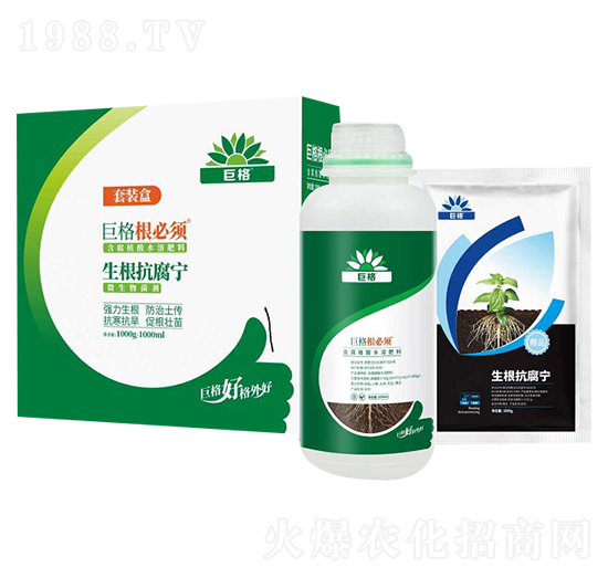 ����������-�����-�޸�����