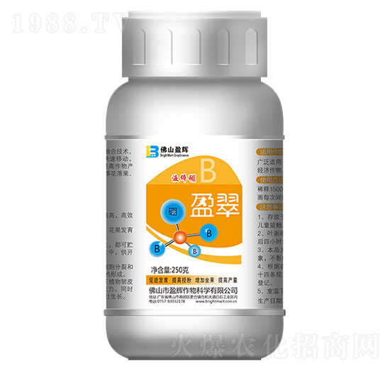 250g���w��-ӯ��-ӯ�x
