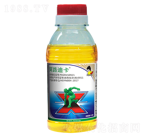 32.4%���ᡤ�ݸ��-��·�Ͽ�-ӯ�x