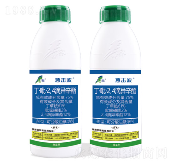 75%��������2��4���ή���֬-�[����-����