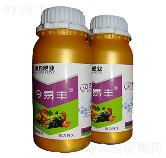 ���Ե����}-�����S-��퍷ʘI(y��)