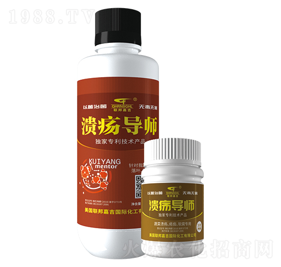 ��������-(li��n)��μ�