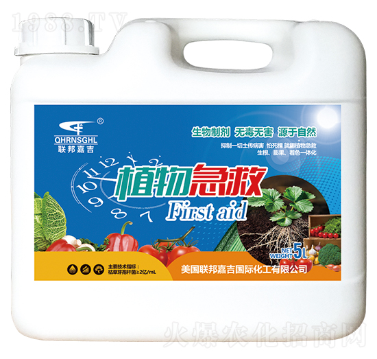 ֲ�Ｑ��-(li��n)��μ�